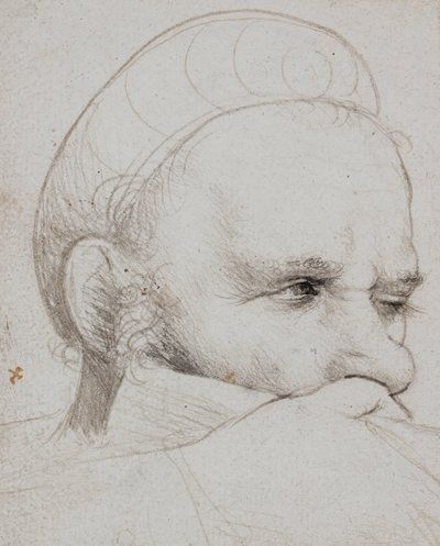 Der Kopf eines Armbrustschützen, der zielt von Hans Holbein the Elder